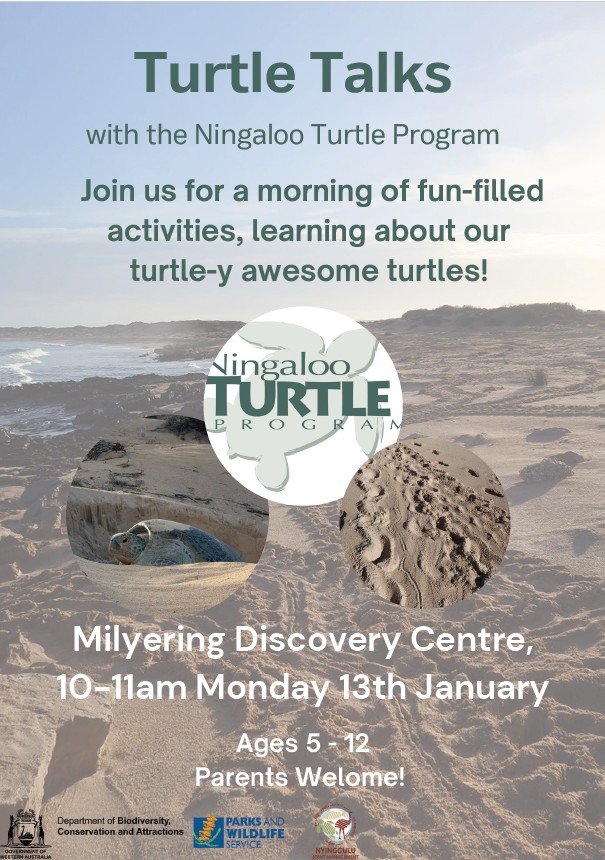 turtle talks Ningaloo Turtle Program