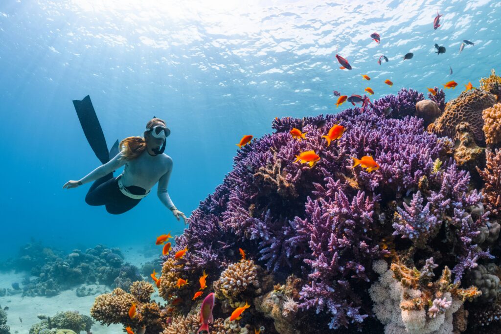 woman diving, observing the corals